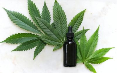 Cómo crear un Ecommerce de Cannabis Legal